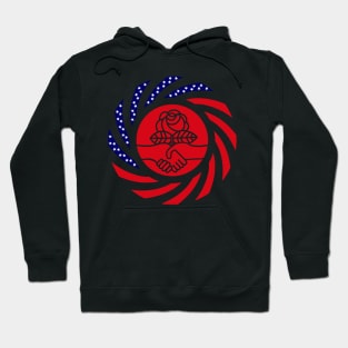 Democratic Socialist Murican Patriot Flag Series Hoodie